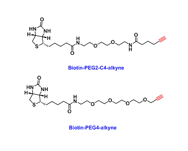 Click Chemistry(生物素-点击化学)