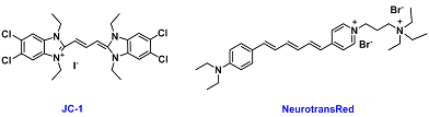 Functional dyes (膜电位监测、细胞示踪等功能染料)