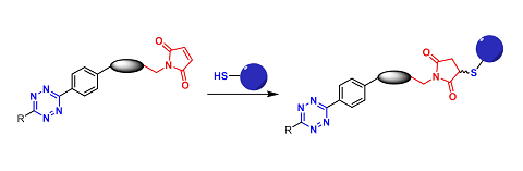 1,2,4,5-Tetrazine-Thiol Reaction（1,2,4,5-四嗪-巯基反应）