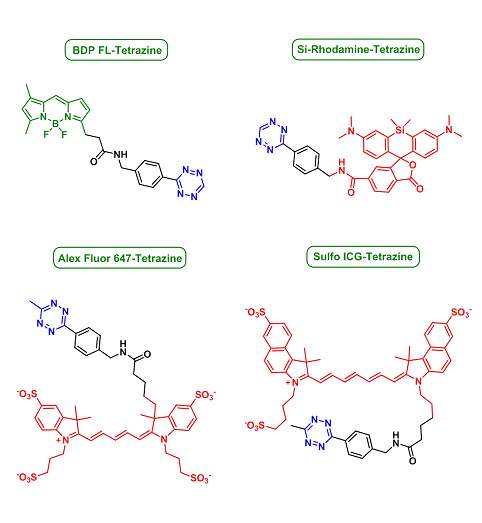 1,2,4,5-Tetrazine-Fluorescent dyes（1,2,4,5-四嗪-荧光染料）