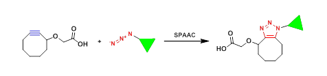 2-Cyclooctyne-acetic acid （2-环辛炔-乙酸）