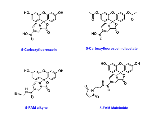 5-Carboxyfluorescein  (5-羧基荧光素)