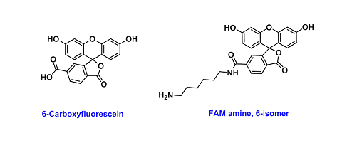 6-Carboxyfluorescein (6-羧基荧光素)