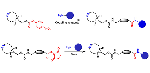 BCN-Amine Reactive（BCN-胺反应）