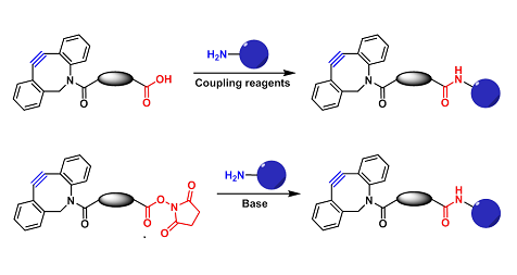 DBCO-Amine Reactive（DBCO-胺反应）