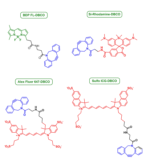 DBCO-Fluorescent dyes（DBCO-荧光染料）