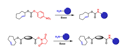 TCO-Amine Reactive（TCO-胺反应）