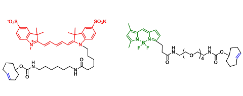 TCO-Fluorescent dyes（TCO-荧光染料）