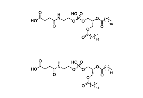 Other Phospholipids tag （其它磷脂标记）