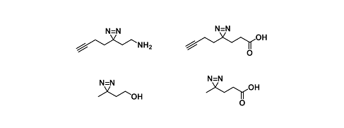 Diazirine Derivatives（双吖丙啶衍生物）