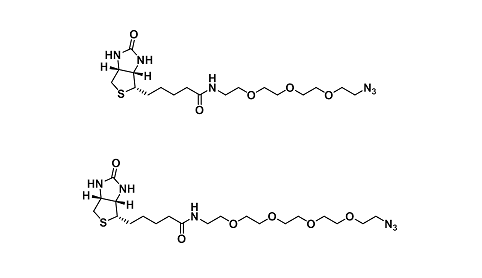 Azide-Biotin（叠氮-生物素）