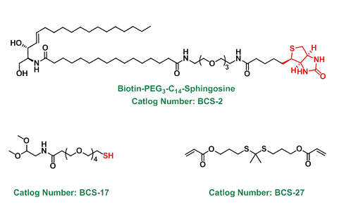 The custom synthesis of compound(定制合成化合物)