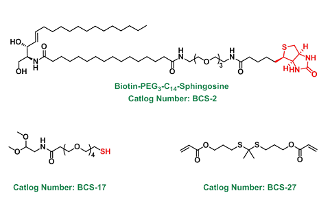 The custom synthesis of compound（定制合成化合物）