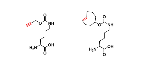 Amino acids tag（氨基酸标记）
