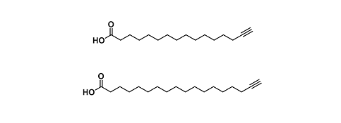 Alkyne-Amine Reactive（炔-胺反应）