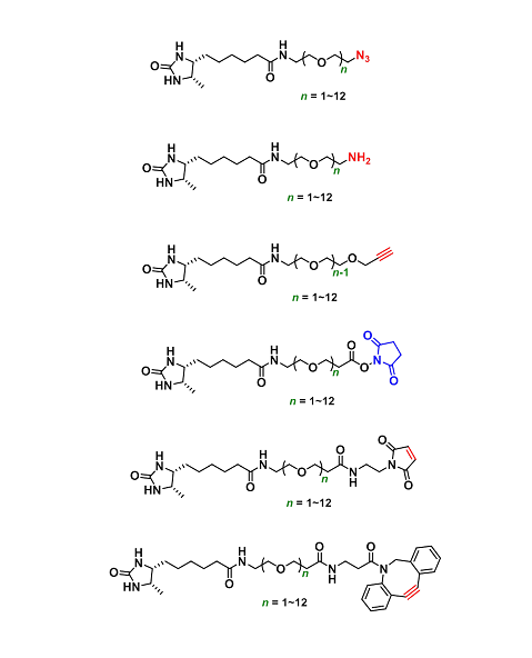 Desthiobiotin（生物素-脱硫生物素）