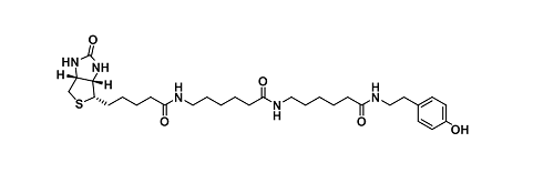 Biotin-Tyramide（生物素-酪氨）