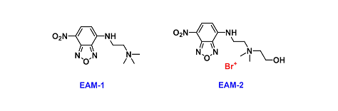 Fluorescent Probes（荧光探针）