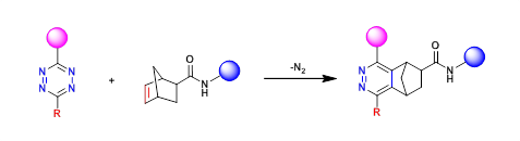 Derivatives of norbornene（降冰片烯衍生物）