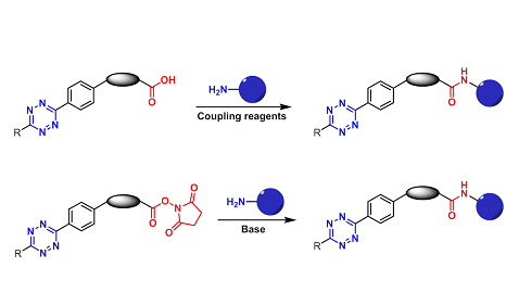 1,2,4,5-Tetrazine-Amine Reactive（1,2,4,5-四嗪-胺反应）