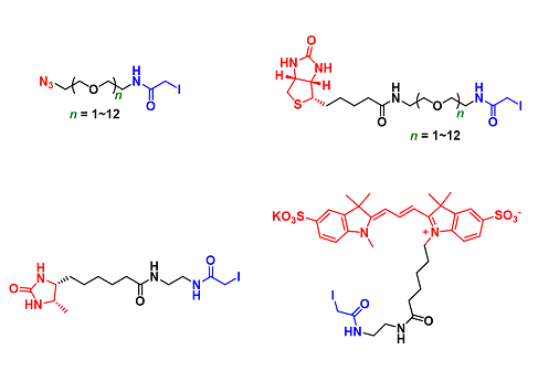Iodoacetamide Derivatives（碘乙酰胺衍生物）