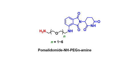 Pomalidomide-NH-PEGn-amine