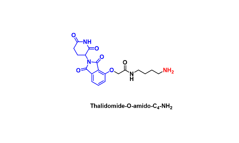 Thalidomide-O-amido-Cn-NH2