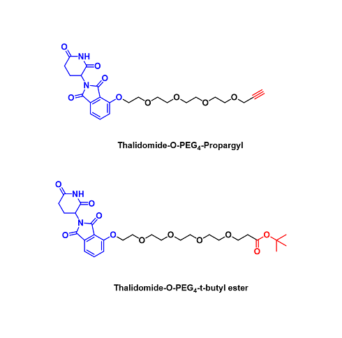 Other Thalidomide derivatives （其它沙利度胺衍生物）