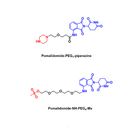 Other Pomalidomide derivatives （其它泊马度胺衍生物）