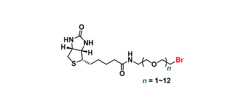 Biotin-PEGn-Br