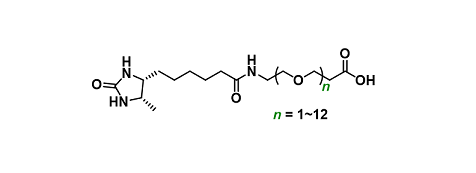 Desthiobiotin-PEGn-Acid