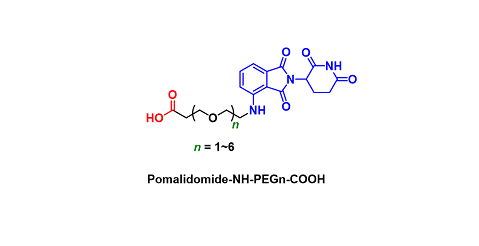 Pomalidomide-NH-PEGn-COOH