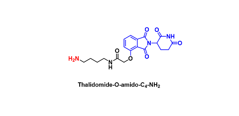 Thalidomide-O-amido-Cn-NH2