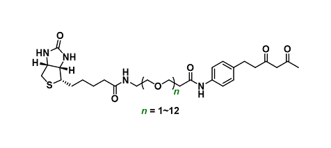 Diketone-PEGn-Biotin