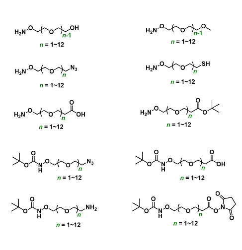 Aminoxy-PEGn