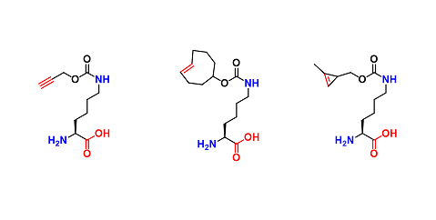 Amino acids tag（氨基酸标记）