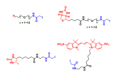 Iodoacetamide Derivatives（碘乙酰胺衍生物）