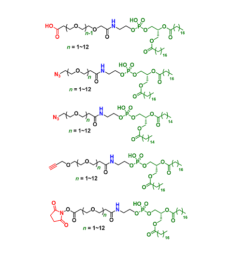 Phospholipids tag（磷脂标记）