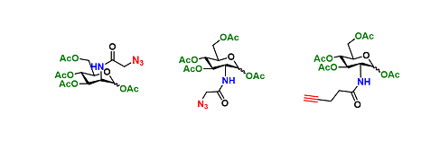 Biosugars tag（糖标记）