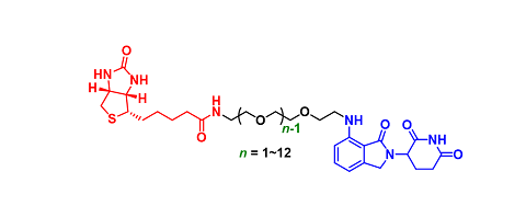 Biotin-PEGn-NH-Lenalidomide