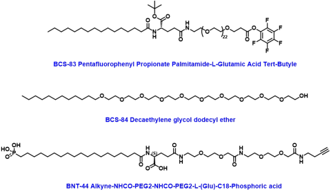 Lipid-PEGn（脂质-PEG偶联物）