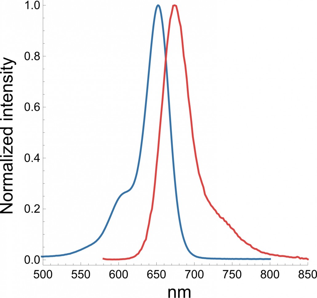 SiR-PEG4-NHS ester's absorption and emission spectra